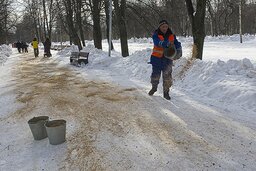 Gorod e`kologicheskoe myishlenie reagentyi na dorogah